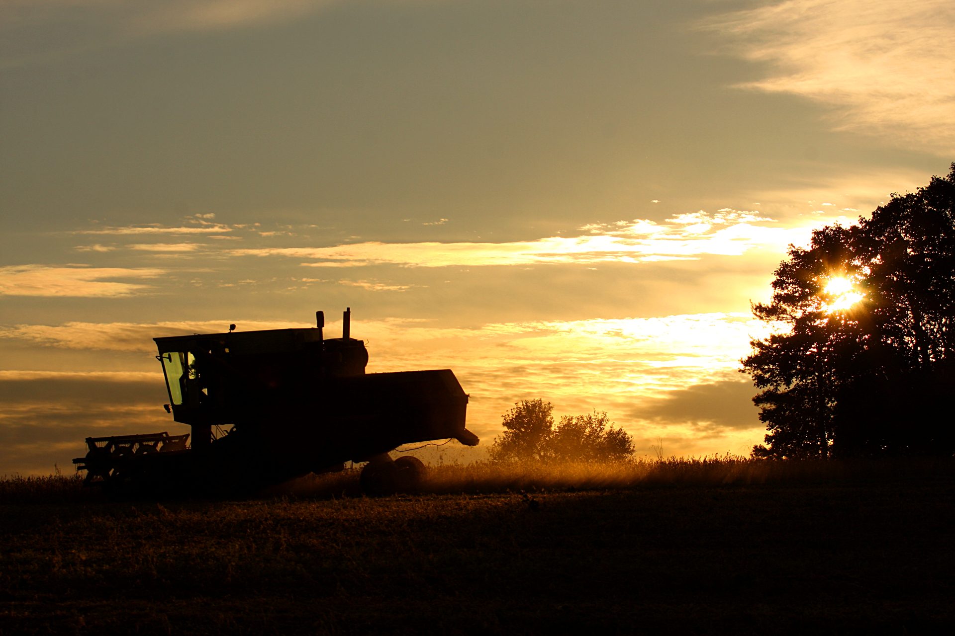 Combine harvesting at sunset